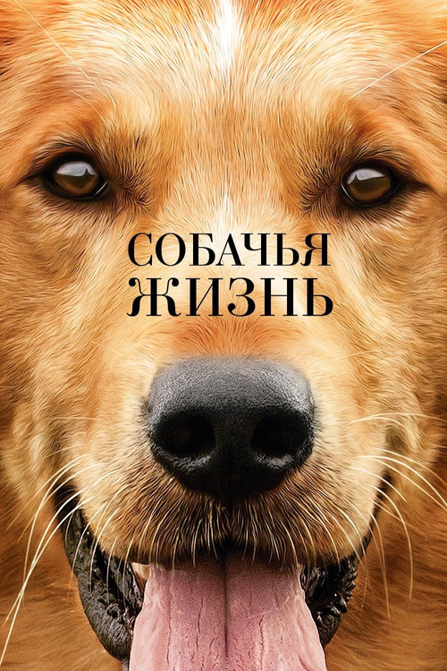 A Dog's Purpose