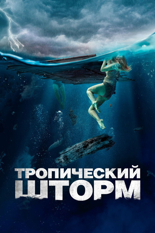 The Requin