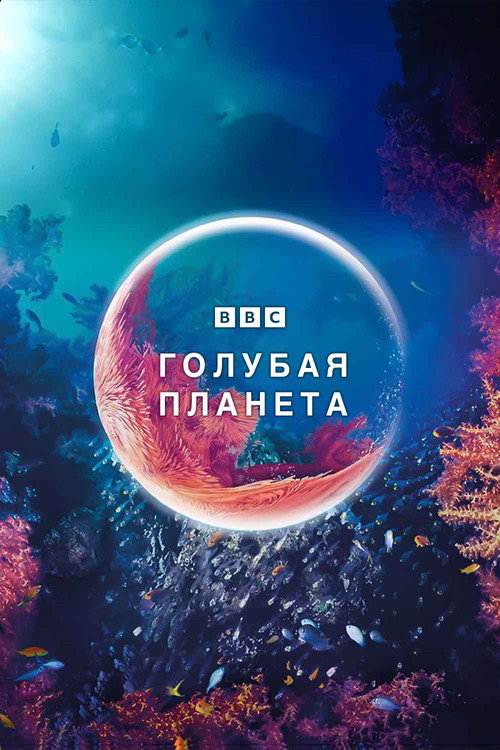 The Blue Planet