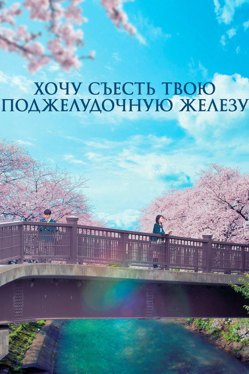 Let Me Eat Your Pancreas
