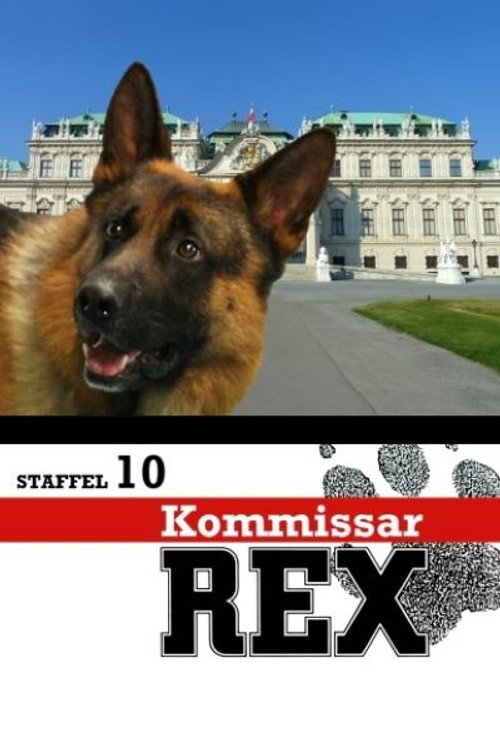 Season 10