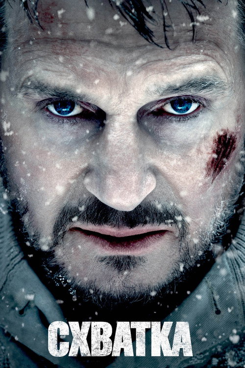 The Grey